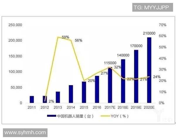 上海排球队运营分析：成功经验与面临挑战的深度探讨