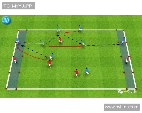 南京足球队个人能力深度解析与发展潜力探讨