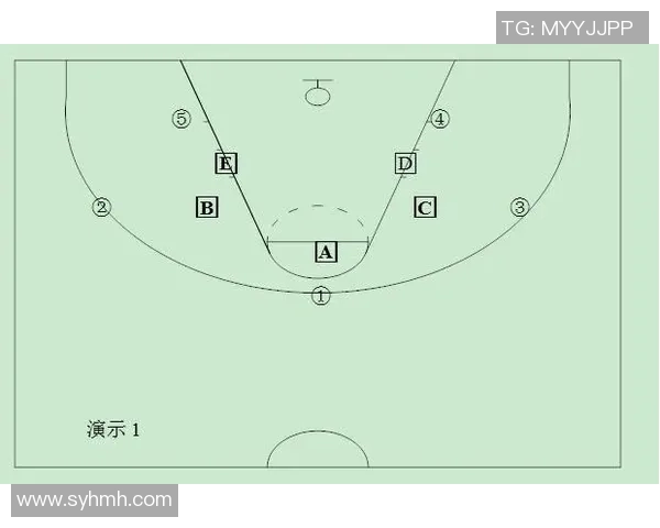 上海排球队区域防守体系解析与战术应用探讨