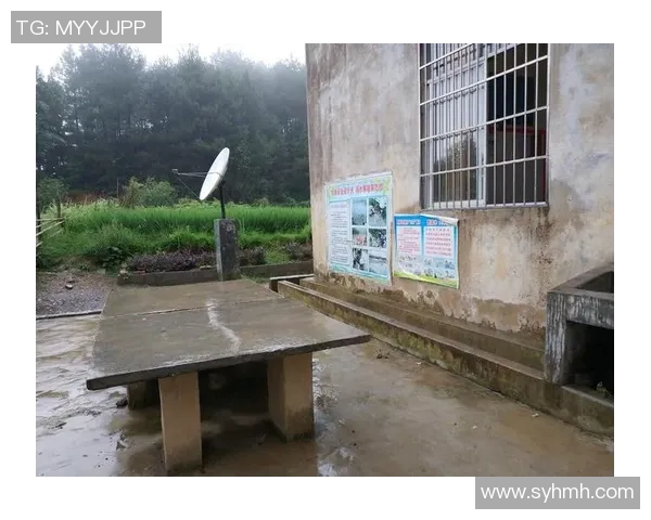 赵敏的乒乓球人生深度对话与成长历程的启示与反思