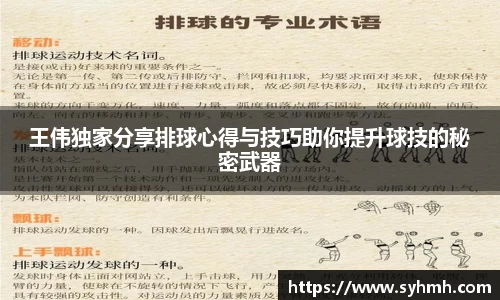 王伟独家分享排球心得与技巧助你提升球技的秘密武器